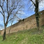 Wall mit Stadtmauer, zwei kahle Bäume, aber keine Sträucher oder Wildkräuter.