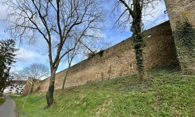 Wall mit Stadtmauer, zwei kahle Bäume, aber keine Sträucher oder Wildkräuter.