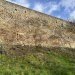 Zu sehen ist ein Stück Stadtmauer und darunter der Wall mit vom Mähen aufgewühlter Erde.