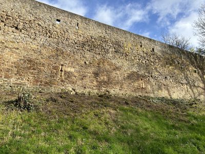 Zu sehen ist ein Stück Stadtmauer und darunter der Wall mit vom Mähen aufgewühlter Erde.
