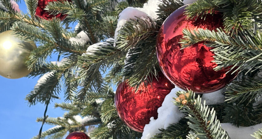 Ausschnitt Weihnachstbaum mit Kugeln und Schnee